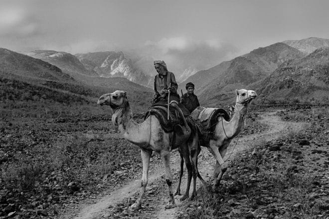 Two people ride two camels in a desert