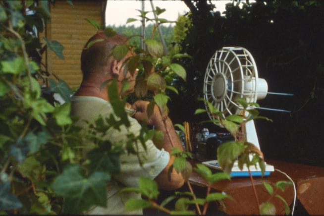 THE JOY AND SORROW OF THE HERE AND NOW