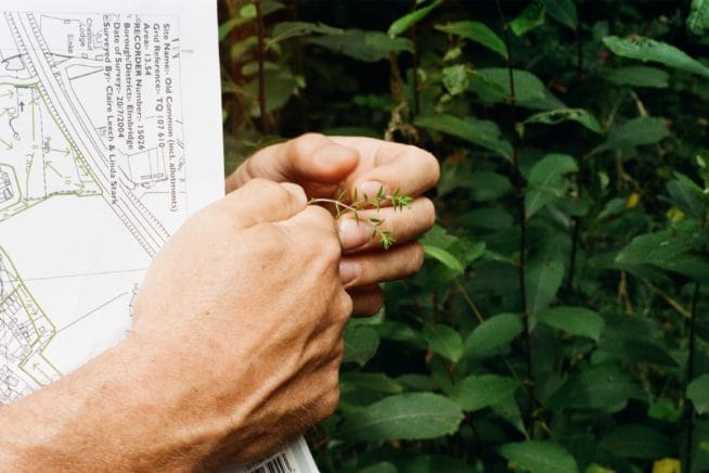 Margaret Salmon and Jessica Sarah Rinland In Conversation