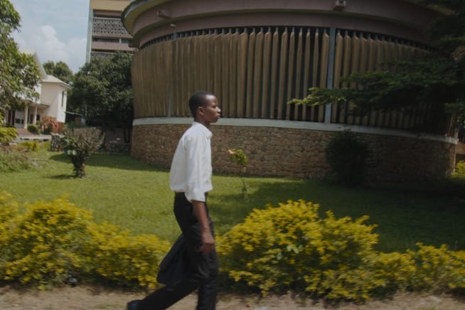 Coconut Head Generation