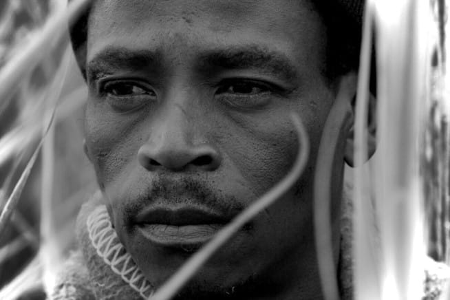 Time Spent with Cats is Never Wasted