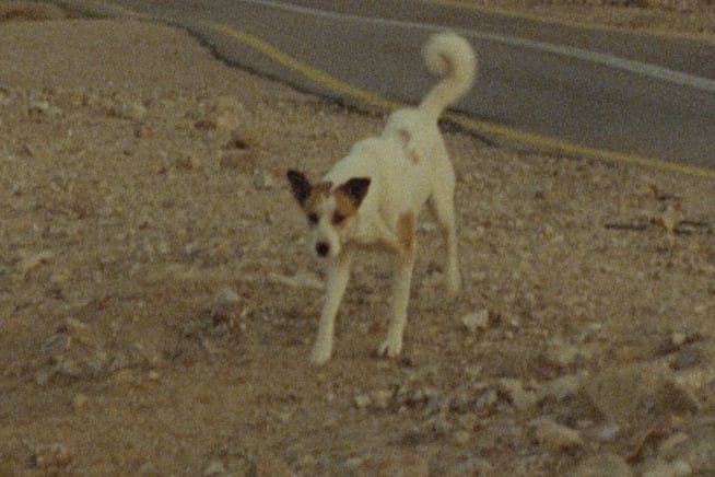 Combined Programme: Unreachable Objects