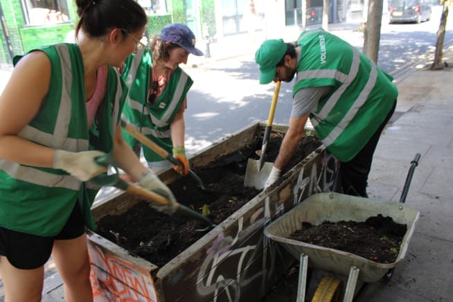 Community, Compost and Greenery
