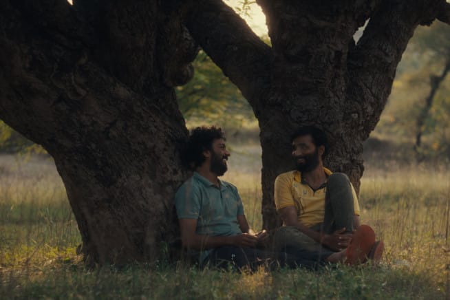 Cactus Pears (Sabar Bonda)