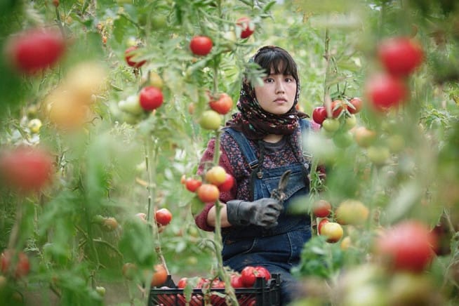 In The Land Of Brothers + Q&#038;A