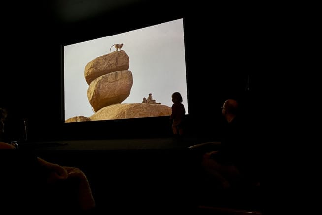 A Roundtable on Family Cinema