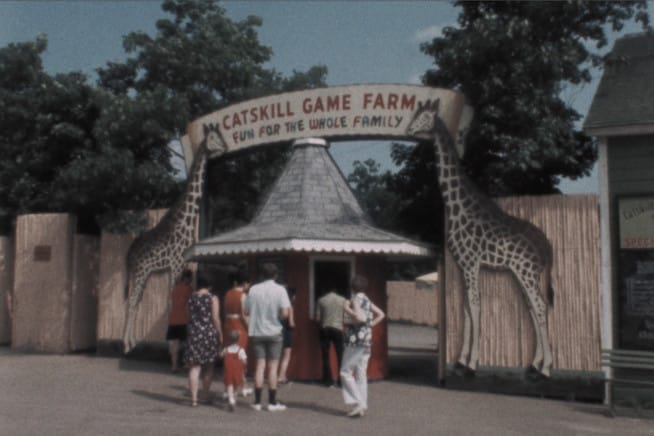 American Zoo