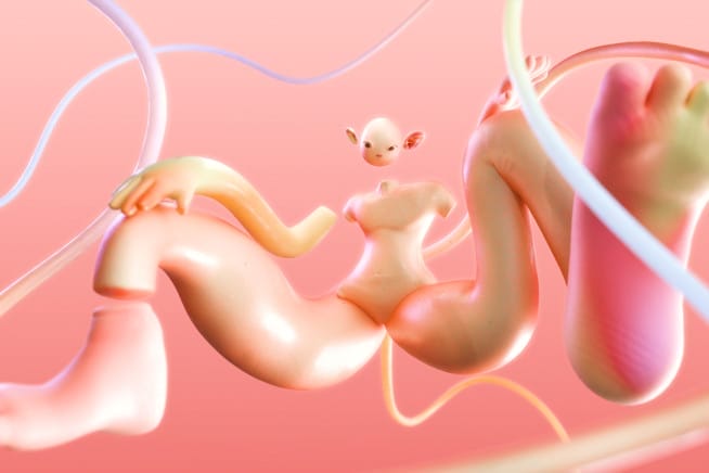 BodyHacking + Q&#038;A